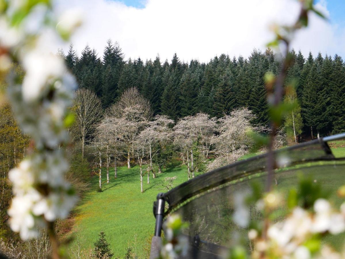 Buehlbauernhof Villa Bad Peterstal-Griesbach Eksteriør bilde